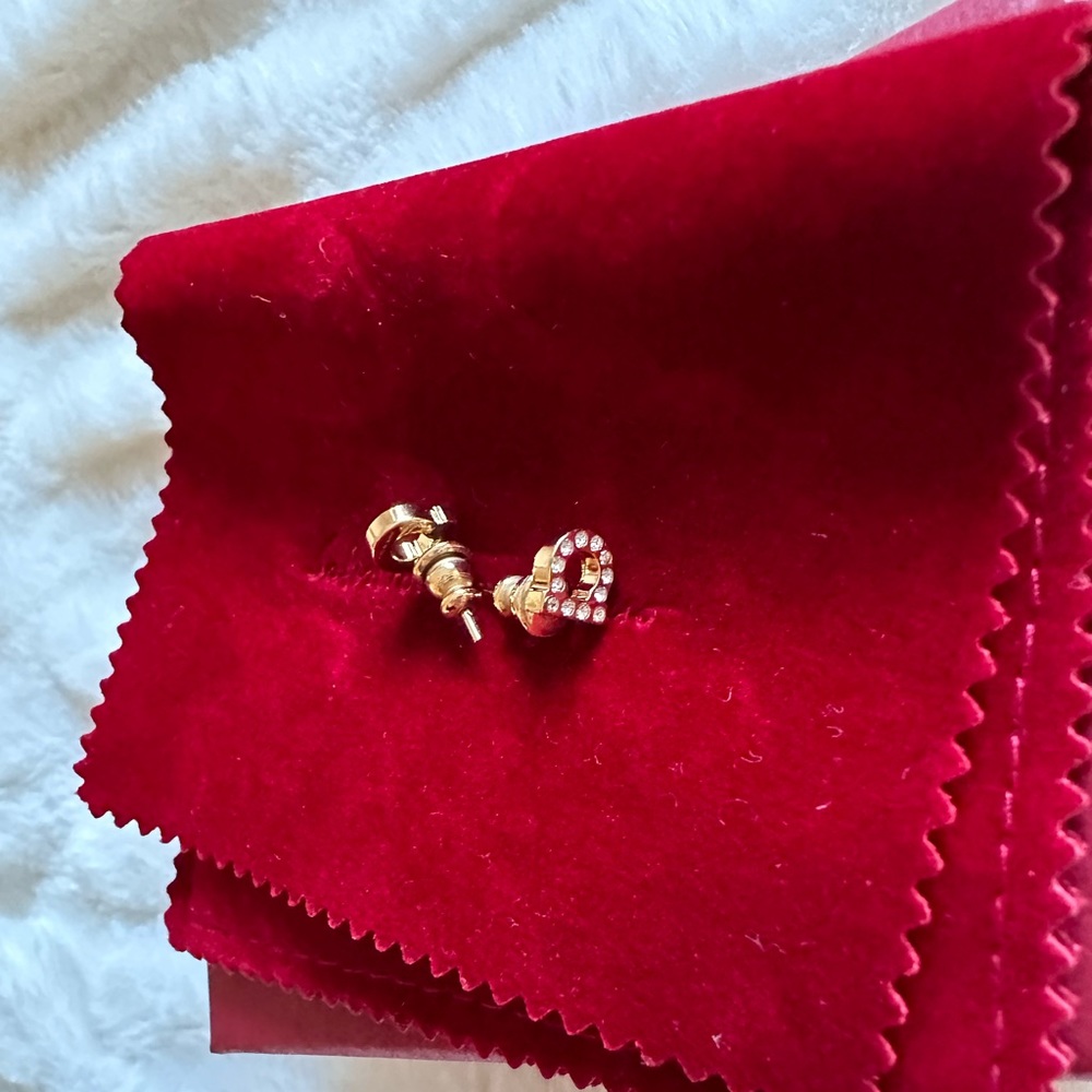 Salvatore Ferragamo Gancini Crystal Earrings - Picture 6 of 8